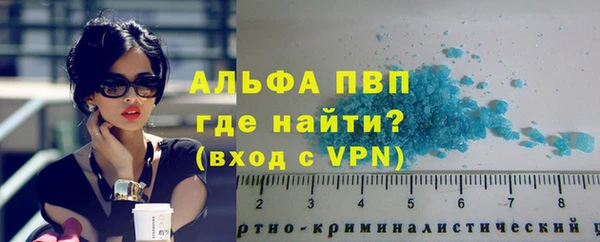 соль ск Новозыбков