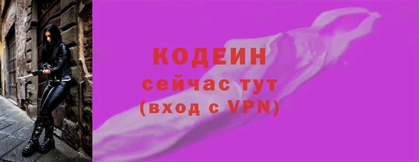 соль ск Новозыбков