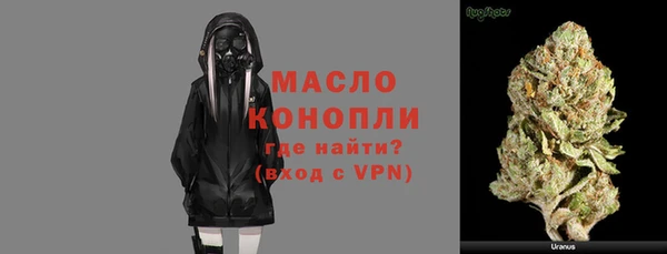 соль ск Новозыбков