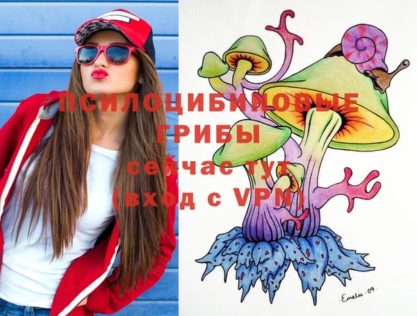 МДМА Новодвинск