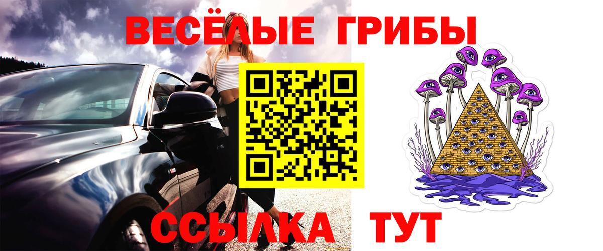 Псилоцибиновые грибы GOLDEN TEACHER  Вход с VPN  Сертолово  Галлюциногенные грибы прущие грибы 