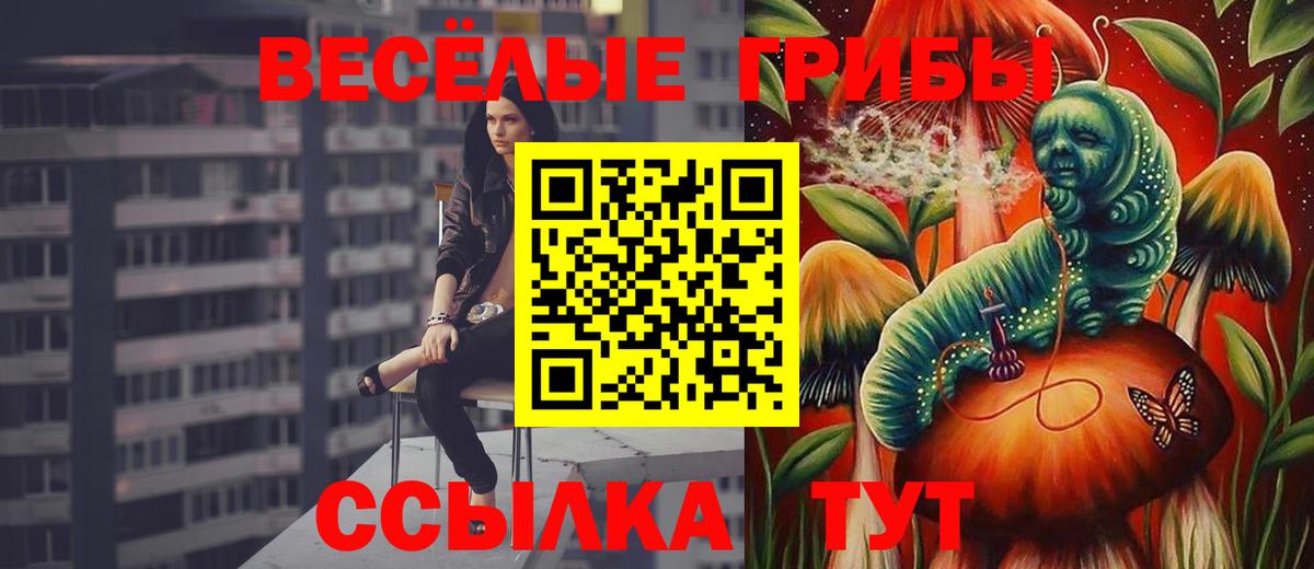 Псилоцибиновые грибы Psilocybe  купить наркоту  Сертолово 