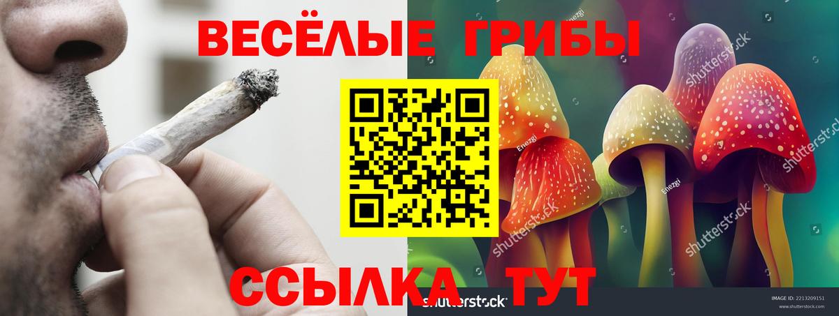 Галлюциногенные грибы ЛСД Сертолово