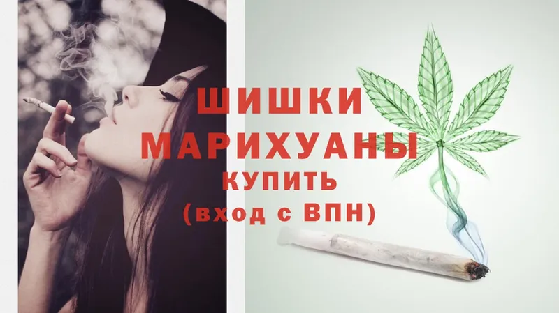 купить   Сертолово  Бошки марихуана Amnesia 